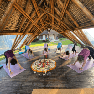 Best-Yoga-Retreat-center-in-Rishikesh-India-Best-Yoga-School-studio-yoga-teacher-training-luxury-vinyasa-bali-ubud-goa-retreat-3days-7days-10days-12-15-21-25